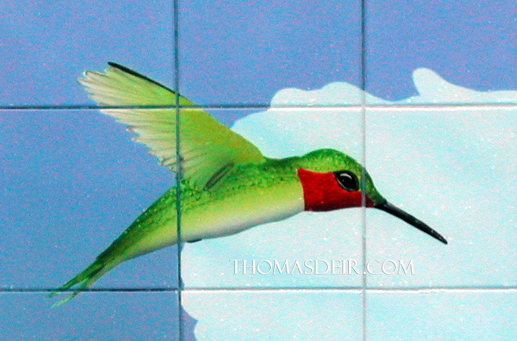 Hummingbird Tile Mural