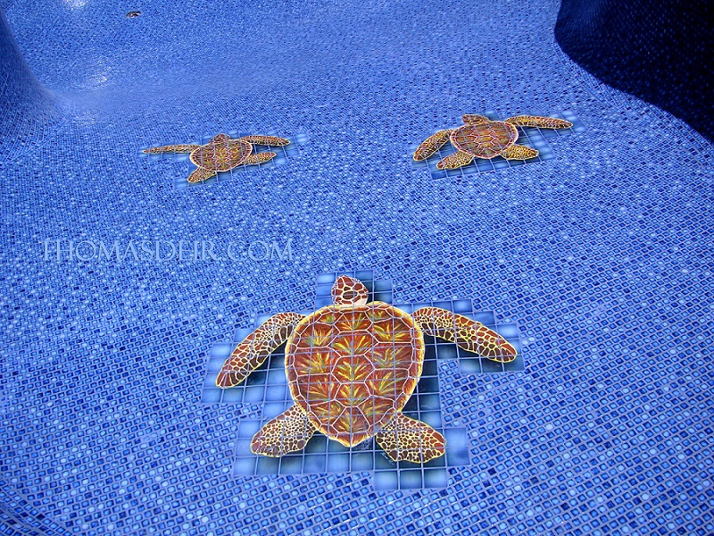 tile murals for pools turtles;