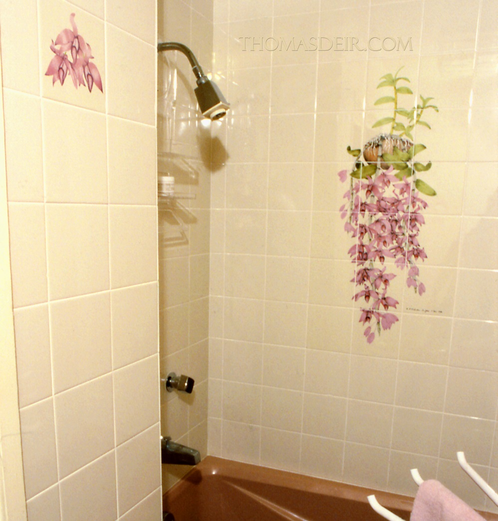 Hawaiian Orchid Shower Tile Mural