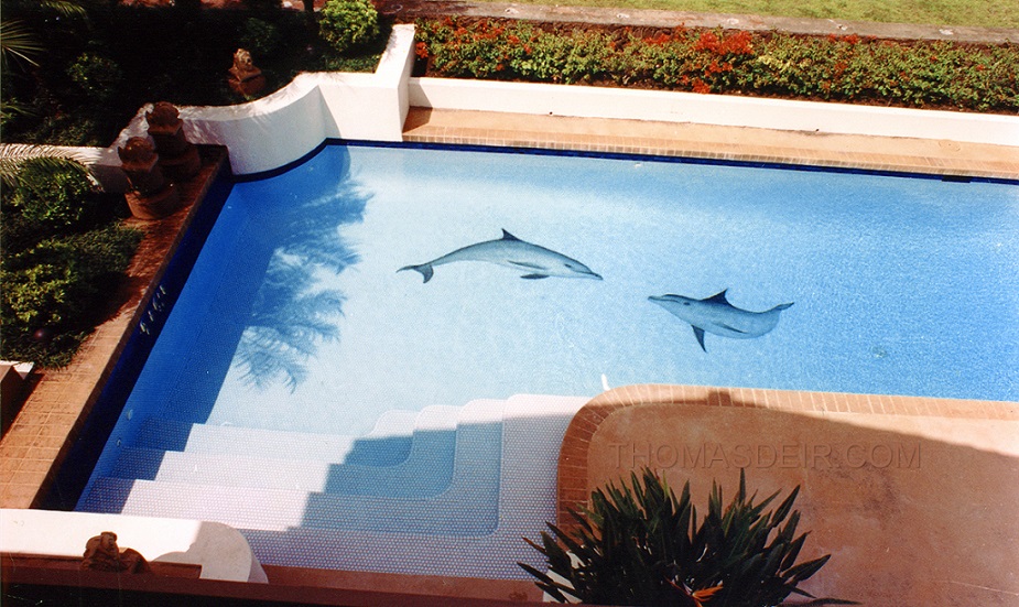 Dolphin tile mural for swimming pool