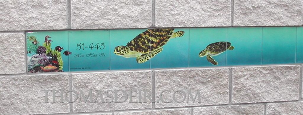 Address tile mural inset featuring marine life and sea turtle design.