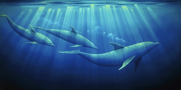 Painting of dolphins swimming below the surface of the ocean