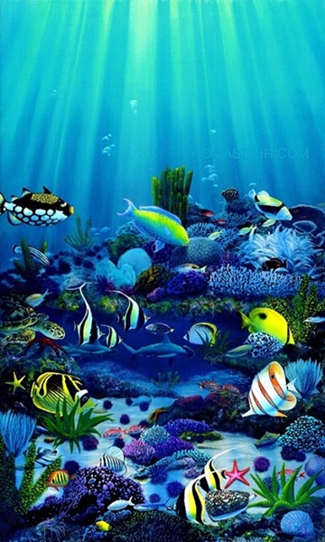 Living Reef giclee on canvas