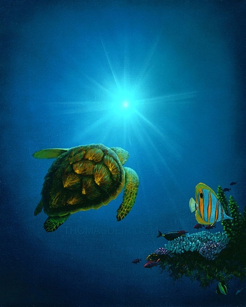 painting of an underwater sea turtle looking toward the surface and light